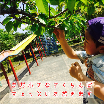 コメント入り写真